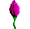 gėlės animuoti-vaizdai-gif